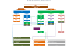 Diagrama del balance de masas
