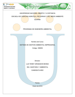 Gu&iacute;a. Momento II. Estudio de Caso - SGA Unadista