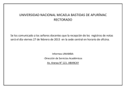 universidad nacional micaela bastidas de apur&iacute;mac rectorado