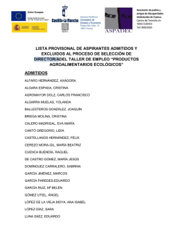 lista provisional admitidos-excluidos director.