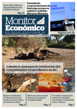 Descargar PDF - Monitor Econ&oacute;mico