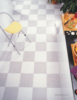 Granilla Blanca y Negra 30.5 x 30.5 cm.