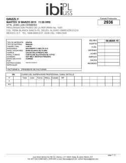 Formato de producci&oacute;n