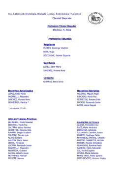 Plantel Docente