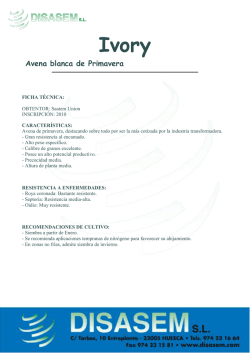 Ivory Avena blanca de Primavera