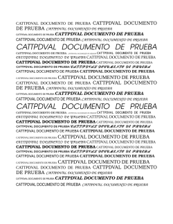 CATTPDVAL DOCUMENTO DE PRUEBA