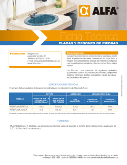 03 Ficha T&eacute;cnica Placas y Mesones de Piedras