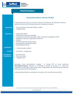 PROFESIONAL I - Ministerio de Relaciones Exteriores