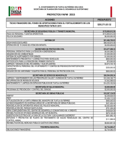 PROYECTOS FAFM 2015