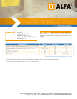 01 Ficha T&eacute;cnica Pegalisto Gris