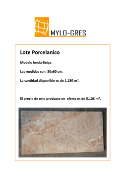 Lote Porcelanico