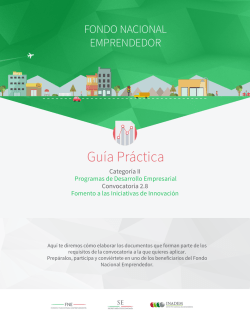 Descargar gu&iacute;a de requisitos