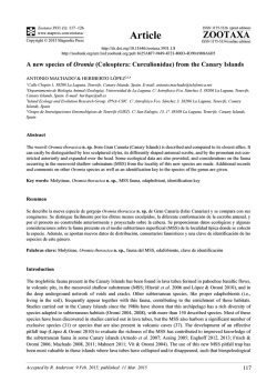 from the Canary Islands