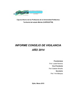 INFORME CONSEJO DE VIGILANCIA A&Ntilde;O 2014