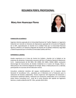 RESUMEN PERFIL PROFESIONAL Mary Ann Huancayo Flores