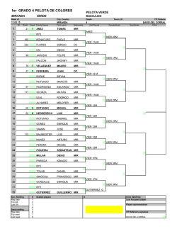 DRAW IG4 MIR. PELOTA DE COLORES vier