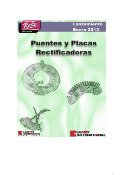 RALUX Placas Puentes