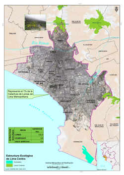 LIMA - Instituto Metropolitano de Planificaci&oacute;n