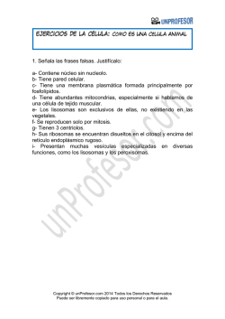 Ejercicios - Unprofesor.com