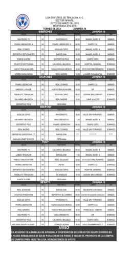 LIGA 19.xlsx - liga de futbol de tehuacan ac