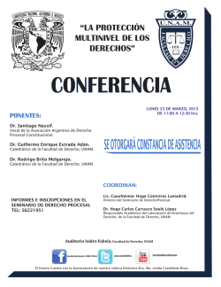 la protecci&oacute;n multinivel de los derechos