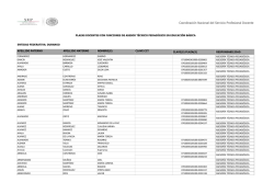 Coordinaci&oacute;n Nacional del Servicio Profesional Docente