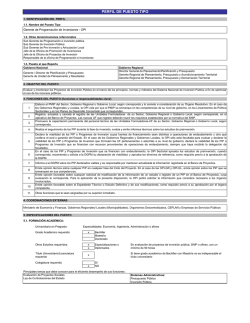 PERFIL DE PUESTO TIPO