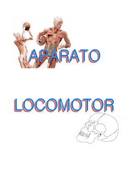 aparato-locomotor 2