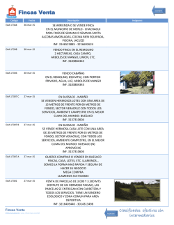 Fincas Venta - Amorel Pasto