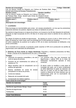 Uso de Abonos Verdes en Rotaci&oacute;n con Cultivos de