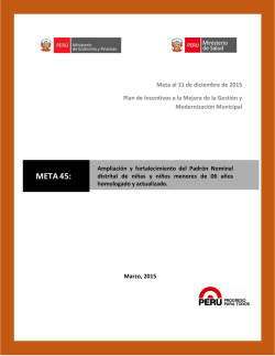 META45: - Ministerio de Econom&iacute;a y Finanzas