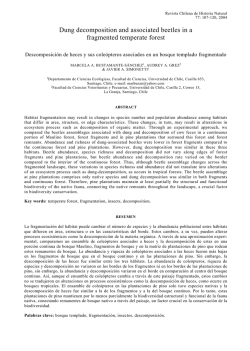 isAllowed=y;Abrir/Descargar - Repositorio Acad&eacute;mico