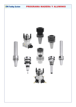 PROGRAMA MADERA Y ALUMINIO