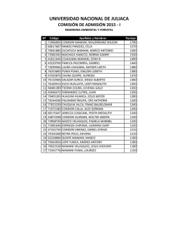 UNIVERSIDAD NACIONAL DE JULIACA