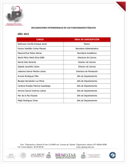 declaraciones patrimoniales de los funcionarios p&uacute;blicos