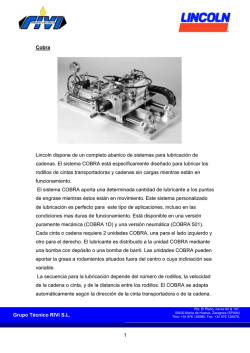 Grupo T&eacute;cnico RIVI S.L. 1 Cobra Lincoln dispone de un completo