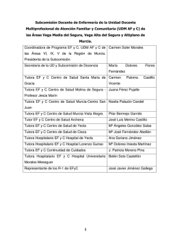 Subcomision Docencia Enfermeria UDM 695_Murcia