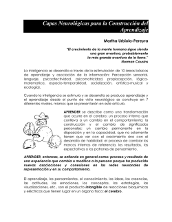 Capas Neurol&oacute;gicas para la Construcci&oacute;n del Aprendizaje