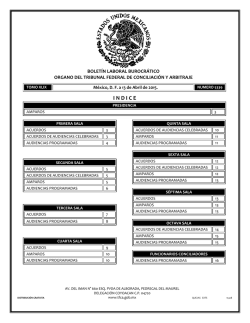 13 - Tribunal Federal de Conciliaci&oacute;n y Arbitraje