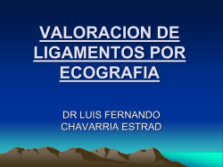 VALORACION DE LIGAMENTOS POR ECOGRAFIA