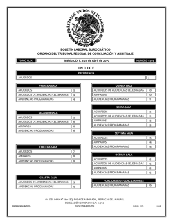 20 - Tribunal Federal de Conciliaci&oacute;n y Arbitraje