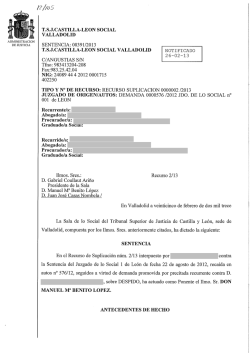 PDF con la Sentencia del TSJ de Castilla y Le&oacute;n