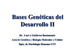bases genetico