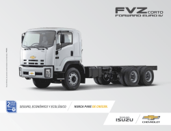 Camion FVZ Corto Forward Euro IV