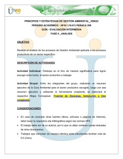 Gu&iacute;a Fase II An&aacute;lisis