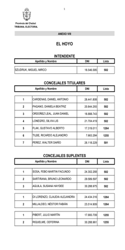 EL HOYO - Tribunal Electoral Provincial