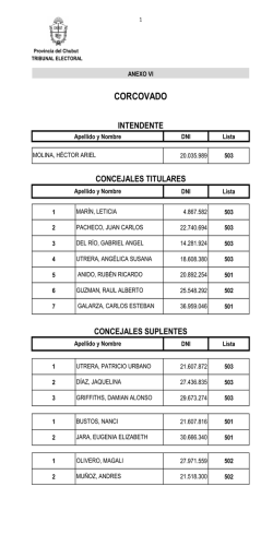 CORCOVADO - Tribunal Electoral Provincial
