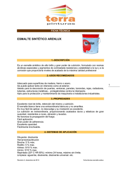 FICHA T&Eacute;CNICA ESMALTE ARENLUX