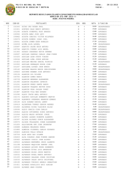 puente piedra - consultoria esan