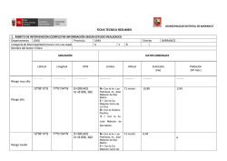 FICHA TECNICA RESUMEN BARRANCO RIESGOS